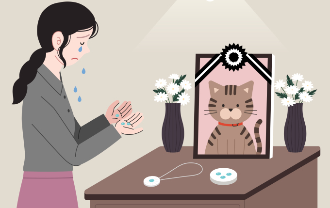 강아지 장례 비용