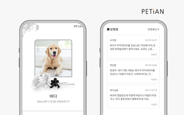 반려동물 부고장, 가입 없이 무료로 3분 만에 만드세요 (페티앙)
