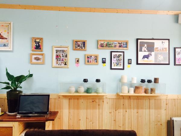 강아지 화장 비용 얼마가 적정할까? 믿을 수 있는 반려동물 장례식장 선택 기준 3가지