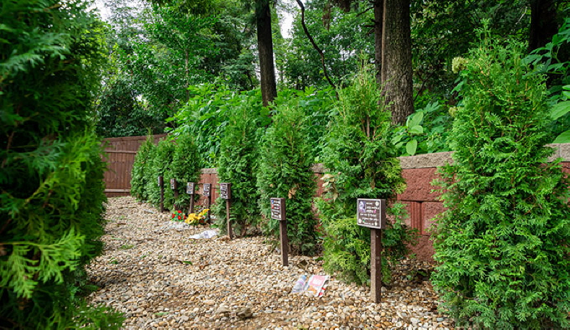 갤러리 이미지 15