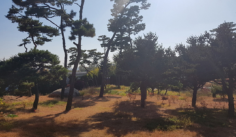 갤러리 이미지 16