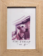 JTBC 손석희 '마루'